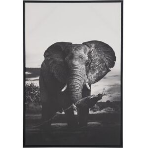 Beliani - Framed Canvas Wall Art Elephant Print 63 x 93 cm Animal Motif Grey Nibbia - Grey