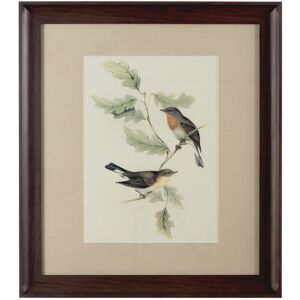 Premier Housewares - Framed Birds 1 Wall Art