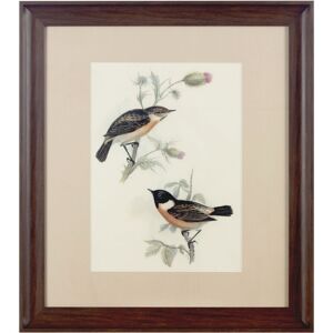 Premier Housewares - Framed Birds 2 Wall Art