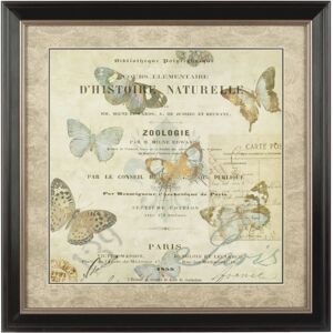 Premier Housewares Framed Butterfly 2 Wall Art