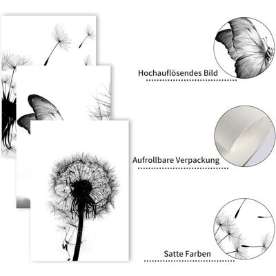 TORMATOR Set of 3 posters - Canvas print - Black and white - Dandelion - Modern wall decoration - Unframed (B, 3 x 40 x 60 cm) TORMATOR Set of 3 posters - Canvas print - Black and white - Dandelion - Modern wall decoration - Unframed (B, 3 x 40 x 60 cm)