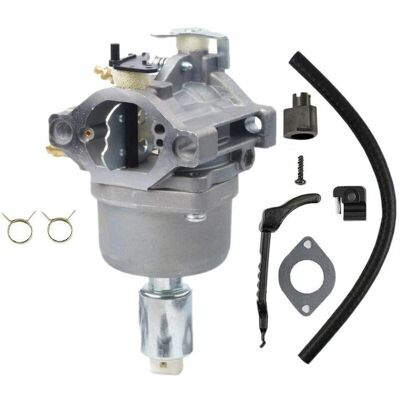 OEM Carburetor For Briggs & Stratton Lawn Tractor Engine 794572 793224 791858 792358 OEM Carburetor For Briggs & Stratton Lawn Tractor Engine 794572 793224 791858 792358