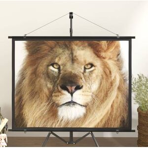 BERKFIELD HOME Royalton Projection Screen 60" 4:3