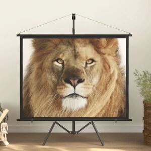 Berkfield Home - Royalton Projection Screen with Tripod 60' 4:3