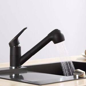 Héloise - Kitchen Faucet with Pull-Out Spray, 120° Swivel Kitchen Faucet, 2 Hot and Cold Water Kitchen Mixer Tap Functions, Brass, Black