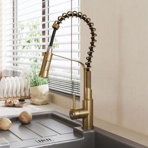 Livingandhome - Brushed Gold Modern Single Lever Kitchen Pull Down Faucet