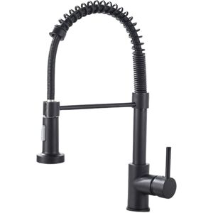 Gotrays - Black Kitchen Faucet 360° Swivel Kitchen Mixer Tap High Arc Sink Faucet Pull Down Sprayer 2 Spray Modes Brass