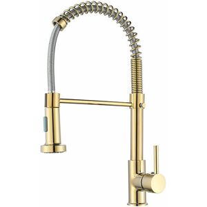 DEWDAT Brushed Gold Kitchen Faucet 360 Degree Rotation Sprayer Faucet Mixer Tap Commercial Single Handle Brushed Gold Kitchen Faucet (Gold)