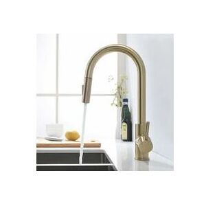 TONCHEAN Brushed Gold Kitchen Faucet with Pull Out Sprayer, 360° Swivel Kitchen Faucet, Kitchen Mixer Tap, Single Handle Kitchen Sink Mixer Tap