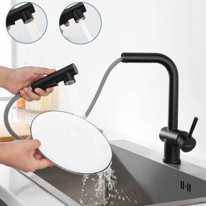 Dewdat - High pressure pull-out kitchen faucet, black sink faucet with 2 spout functions, single lever kitchen faucet can be rotated through 360°,