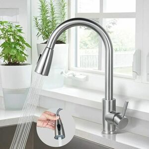 DEWDAT Kitchen Faucet, 304 Stainless Steel Sink Mixer Tap, 360° Rotating Sink Faucet with Pull-Out Spray, Kitchen Mixer Tap 2 Water Jets Brass Nut Brushed