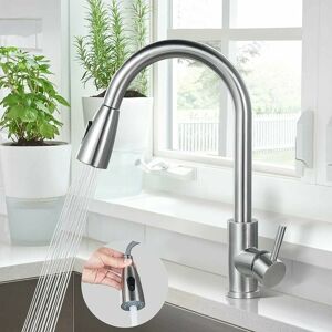 Dewdat - Kitchen Faucet, 304 Stainless Steel Sink Mixer Tap, 360° Rotating Sink Faucet with Pull-Out Spray, Kitchen Mixer Tap 2 Water Jets Brass Nut
