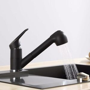 HÉLOISE Kitchen Faucet with Pull-Out Spray, 120° Swivel Kitchen Faucet, 2 Hot and Cold Water Kitchen Mixer Tap Functions, Brass, Black