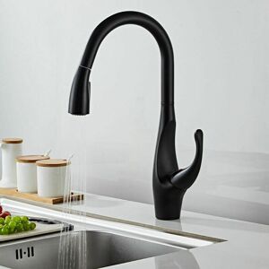 DEWDAT Kitchen Faucet with Pull Out Spray High Arc Kitchen Mixer Tap 304 Stainless Steel Sink Mixer Tap,Matte Black