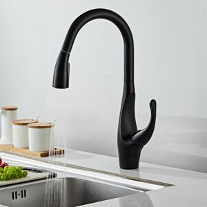 DEWDAT Kitchen Faucet with Pull Out Spray High Arc Kitchen Mixer Tap 304 Stainless Steel Sink Mixer Tap,Matte Black,SHUNLI