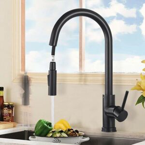 IKODM Kitchen Faucet with Pull-Out Spray Matte Black 360° Swivel Stainless Steel Kitchen Sink Mixer Tap 2 Function Kitchen Mixer Tap - RWKitchen Mixer Tap