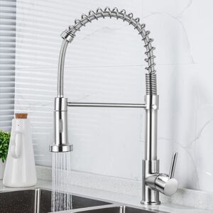 Héloise - Kitchen Faucet with Spray, 360° Swivel Mixer Tap, Spiral Spring for Kitchen Sink, Brushed Nickel Sink Faucet