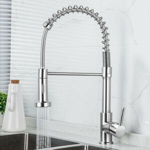 Dewdat - Kitchen Faucet with Spray, 360° Swivel Mixer Tap, Spiral Spring for Kitchen Sink, Brushed Nickel Sink Faucet