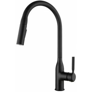 Dewdat - Kitchen Sink Mixer Tap, Kitchen Faucets with Pull Out Spray, 360~ Swivel Single Lever, Kitchen Sink Faucet, High Arc Flexible Spout, Hot and