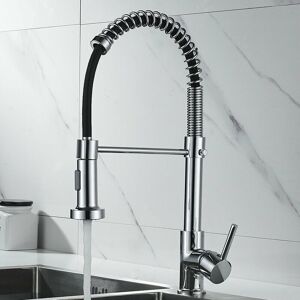 ZVD Single Handle Kitchen Faucet Pull Out Sprayer - High Arc Gooseneck Kitchen Sink Faucet Single Handle Stainless Steel (Plating)