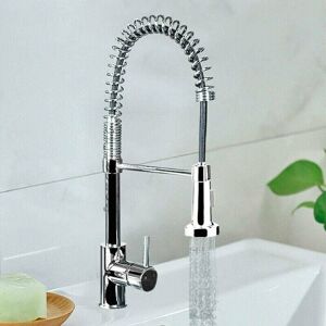 Dewdat - Chrome Monobloc Kitchen Sink Mixer Tap Swivel and Spring Spout Pull Out Hose Spray Single Lever Swan Neck Faucet Dewdat - Chrome Monobloc Kitchen Sink Mixer Tap Swivel and Spring Spout Pull Out Hose Spray Single Lever Swan Neck Faucet