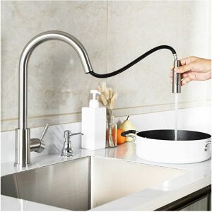 DEWDAT Kitchen faucet with 2 jet shower Kitchen faucet with pull-out shower 360° rotating sink faucet Kitchen mixer tap Cold and hot water DEWDAT Kitchen faucet with 2 jet shower Kitchen faucet with pull-out shower 360° rotating sink faucet Kitchen mixer tap Cold and hot water