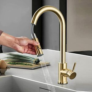 Dewdat - Kitchen Mixer Tap with Pull Out 360° Swivel Spout 2 Water Modes High Arc Single Lever Brass Bathroom Mixer Tap, Brushed Gold Dewdat - Kitchen Mixer Tap with Pull Out 360° Swivel Spout 2 Water Modes High Arc Single Lever Brass Bathroom Mixer Tap, Brushed Gold