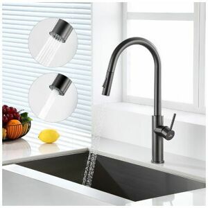 DEWDAT Rose-Kitchen Faucet with Pull-Out Spray Sink Mixer Tap with 360° High Spout 480 MM High Kitchen Mixer Tap with 2 Types of Water Outlets, Gray DEWDAT Rose-Kitchen Faucet with Pull-Out Spray Sink Mixer Tap with 360° High Spout 480 MM High Kitchen Mixer Tap with 2 Types of Water Outlets, Gray
