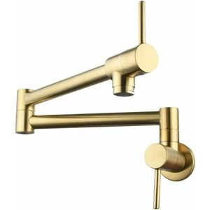 AIPERQ Wall Mount Pull Down Kitchen Faucet, Brass Pull Down Kitchen Tap, Dual Handle Telescopic Cold Water Tap, Kitchen Sink Mixer Tap, Brushed Gold AIPERQ Wall Mount Pull Down Kitchen Faucet, Brass Pull Down Kitchen Tap, Dual Handle Telescopic Cold Water Tap, Kitchen Sink Mixer Tap, Brushed Gold