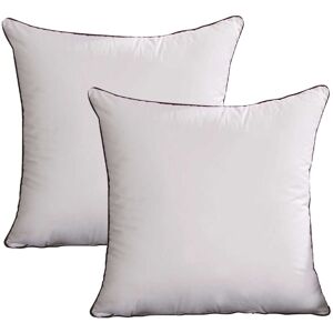 PESCE 2pcs Bed pillow, sofa pillow in living room, fluffy pillow. style1 4040cm