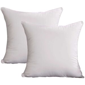 PESCE 2pcs Bed pillow, sofa pillow in living room, fluffy pillow. style2 4040cm