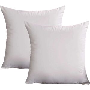 PESCE 2pcs Bed pillow, sofa pillow in living room, fluffy pillow. style3 4040cm