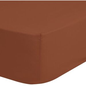 Berkfield Home - Good Morning Fitted Sheet 100x200 cm Terracotta