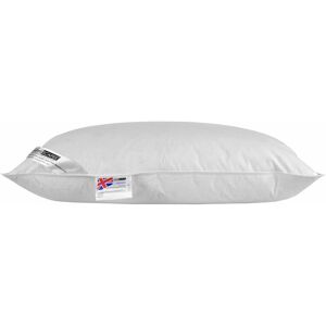 Homescapes - Duck Feather Music Pillow With Speaker - White