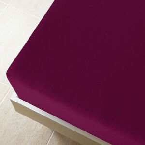 BERKFIELD HOME Mayfair Jersey Fitted Sheet Bordeaux 90x200 cm Cotton