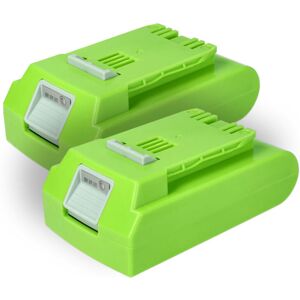 vhbw 2x Battery for Greenworks G24 - 24V, 2000mAh vhbw 2x Battery for Greenworks G24 - 24V, 2000mAh