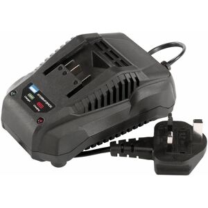 Storm Force&174 20V Fast Charger for Power Interchange Batteries 23793 - Draper