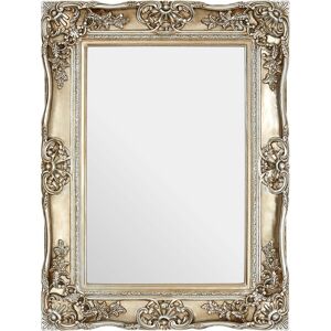 Ornate Decorative Edge Wall Mirror - Premier Housewares