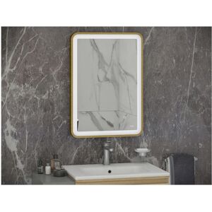 RAK CERAMICS Rak Art Brushed Gold 600mm x 800mm Soft Illuminated led Mirror - RAKARTSFBG5002 - Brushed Gold