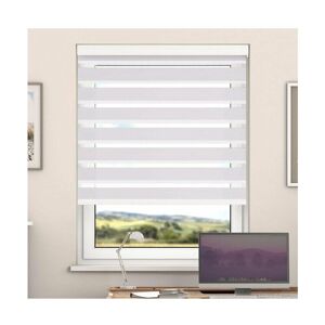 Newedgeblinds - Day And Night Zebra Roller Blind with Cassette(Cappuccino, 130cm x 220cm)