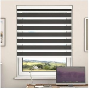 Newedgeblinds - Day And Night Zebra Roller Blind with Cassette(Steel Grey, 105cm x 220cm)