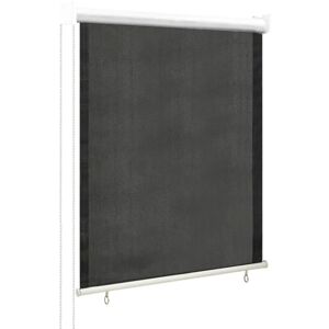 Outdoor Roller Blind 60x140 cm Anthracite - Hommoo