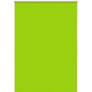 Roller Blind Blackout Leaves Green 100x150 cm Fabric Width 95.7 cm Polyester Vidaxl Roller Blind Blackout Leaves Green 100x150 cm Fabric Width 95.7 cm Polyester Vidaxl