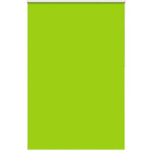 Roller Blind Blackout Leaves Green 165x210 cm Fabric Width 161.6 cm Polyester Vidaxl Roller Blind Blackout Leaves Green 165x210 cm Fabric Width 161.6 cm Polyester Vidaxl