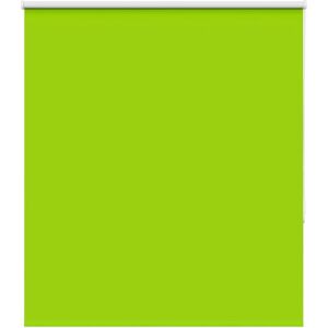 vidaXL Green Roller Blinds - Privacy & Light Control vidaXL Green Roller Blinds - Privacy & Light Control