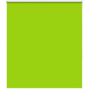 Roller Blind Blackout Leaves Green 120x175 cm Fabric Width 116.6 cm Polyester vidaXL Roller Blind Blackout Leaves Green 120x175 cm Fabric Width 116.6 cm Polyester vidaXL