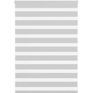 vidaXL Zebra Roller Blind - Durable Polyester, Light Gray, 105x100 cm vidaXL Zebra Roller Blind - Durable Polyester, Light Gray, 105x100 cm