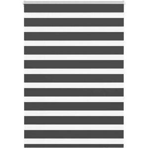 vidaXL Zebra Blinds 100x150 cm Polyester Black - Zebra Blinds vidaXL Zebra Blinds 100x150 cm Polyester Black - Zebra Blinds