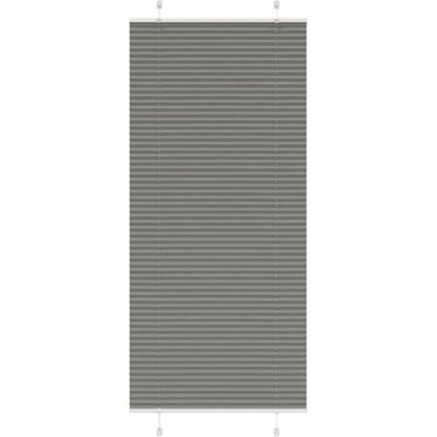 vidaXL Window Blinds - 100 x 200 cm Anthrazit Polyester vidaXL Window Blinds - 100 x 200 cm Anthrazit Polyester