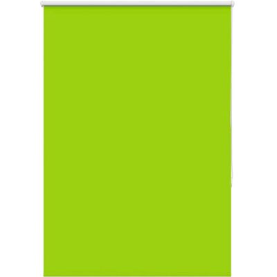 vidaXL Green Roller Blinds - Privacy & Light Control vidaXL Green Roller Blinds - Privacy & Light Control